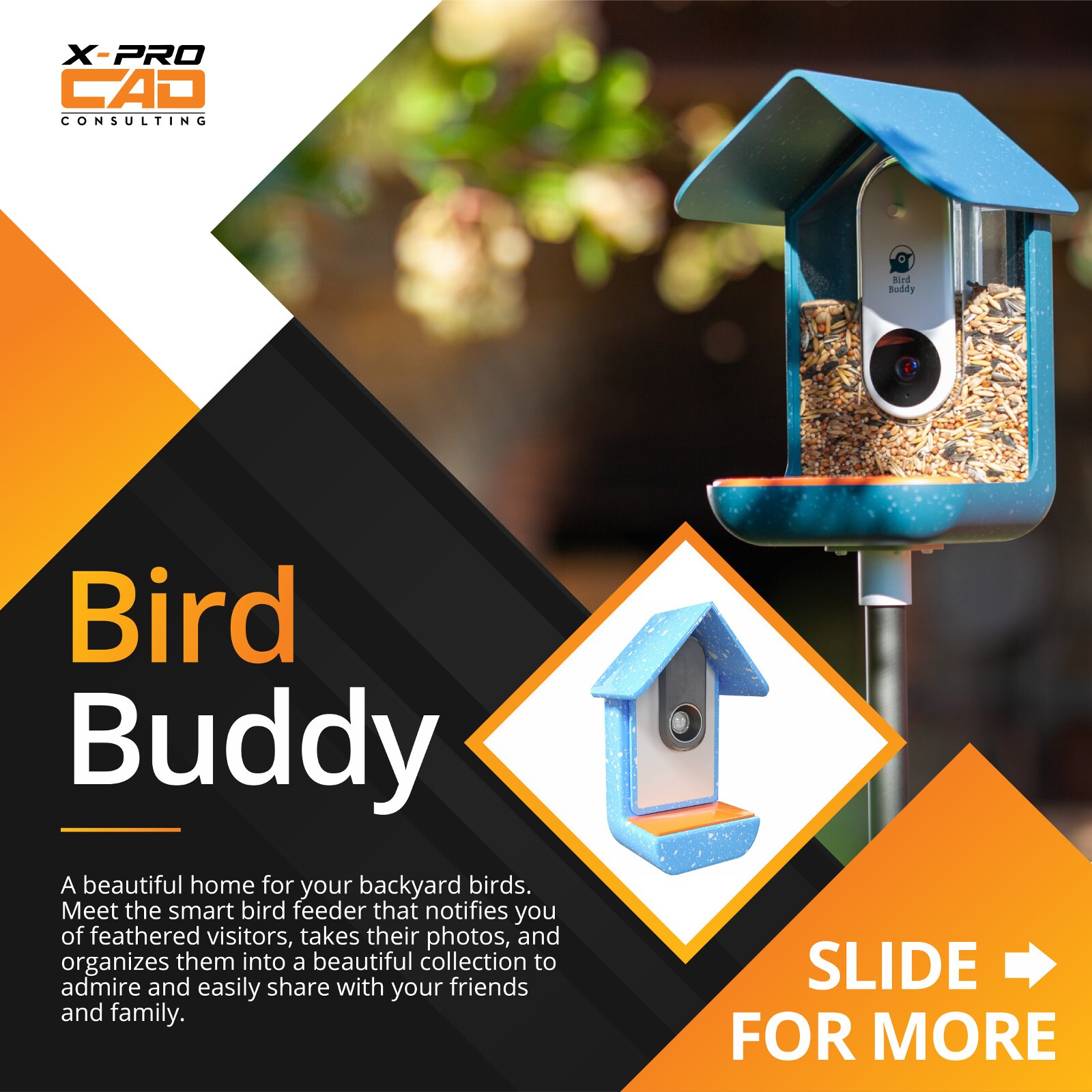 Bird Buddy